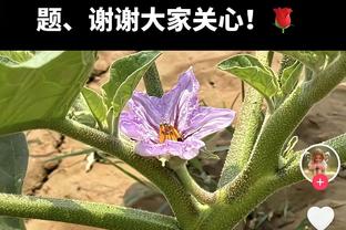 利拉德：首节我膝盖了扭伤 第四节跟腱伤势加重了